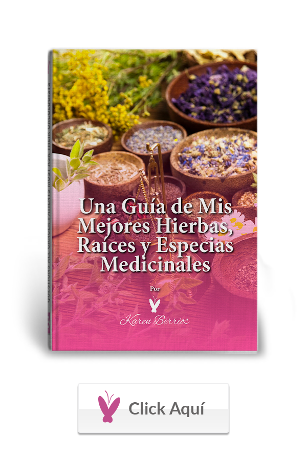 Una Guia de mis mejores hierbas, raices y especias medicinales