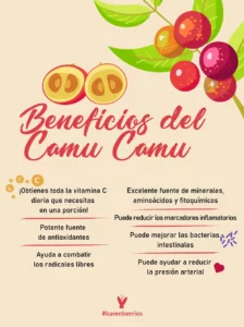 Propiedades y Beneficios del Camu Camu