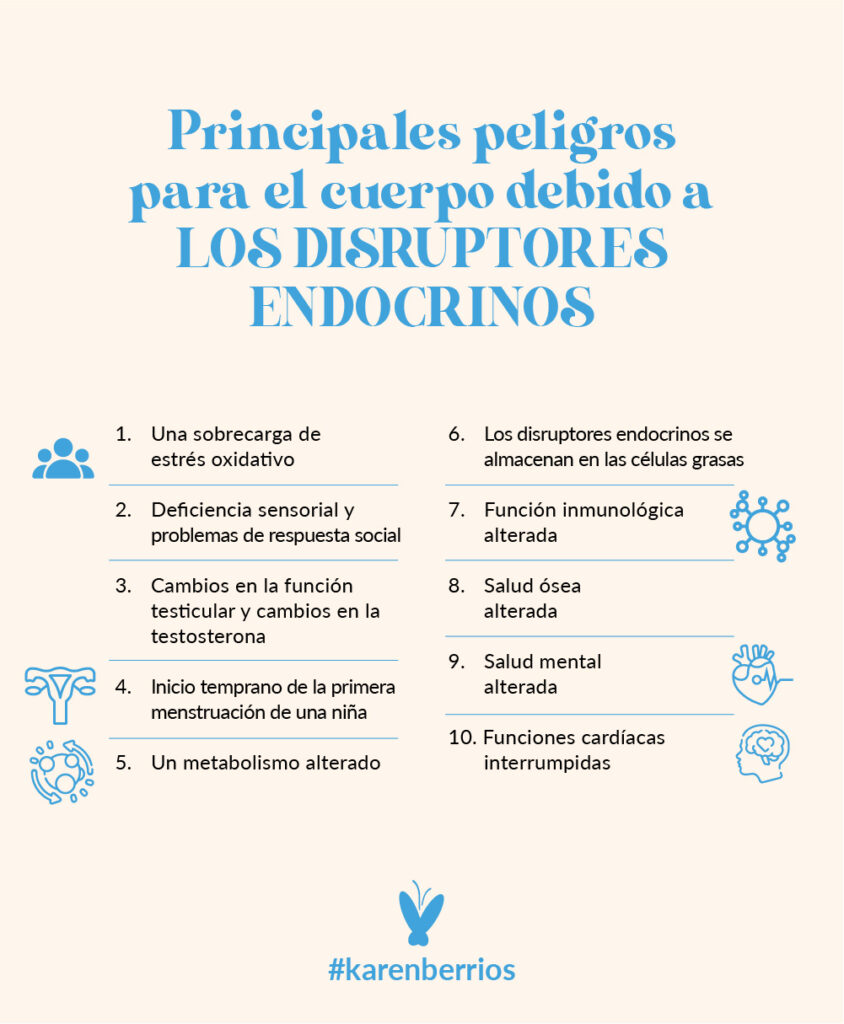 Principales Disruptores Endocrinos Y CÓmo Evitarlos Karen Berrios Blog Wellness Blogger 